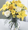 Send Flowers to Hyderabad