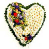 Flowers to Hyderabad : Send flowers to Hyderabad