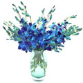 Send Flowers to Hyderabad