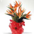 Flowers to Hyderabad