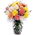 Flowers to Hyderabad