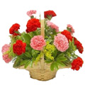 Flowers to Hyderabad