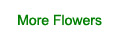 Send Flowers to Hyderabad