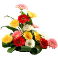 Flowers to Hyderabad
