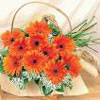 Flowers to Hyderabad