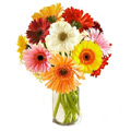 Flowers to Hyderabad