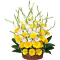 Flowers to Hyderabad