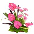 Flowers to Hyderabad, Mother's Day Flowers to Hyderabad
