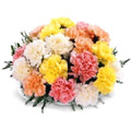 Online Florists Hyderabad