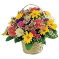 Flowers to Hyderabad
