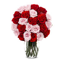 Place Online to Send New Year Flowers to Hyderabad encircled with Red Pink Roses in Vase 24 Flowers in Hyderabad