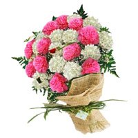 Deliver Pink White Carnation Bouquet 24 Flowers in Hyderabad
