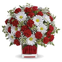 Send White Gerbera Red Carnation Vase 24 Friendship Flowers to Hyderabad