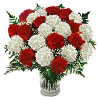 Diwali Flowers to Hyderabad contain of Red White Carnation in Vase 24 Flowers