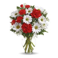 Send Rakhi Flowers to Hyderabad. White Gerbera Red Carnation Vase 12 Flowers to Hyderabad