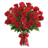 Order Friendship Day Flowers of Red Rose Carnation Vase 24 Best Flowers to Hyderabad