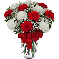 Deliver Red Rose White Carnation Vase 18 Rakhi Flowers in Hyderabad