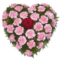 Friendship Day Flower to Hyderabad Online contain of 36 Pink Carnation Heart Arrangement