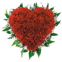 Send Rakhi with 100 Red Carnation Flowers to Hyderabad in Heart Arrangement