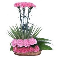 Rakhi with Flower Delivery in Hyderabad. Online Pink Carnation Arrangement 20 Flowers to Hyderabad
