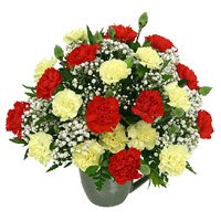 Send Red Yellow Carnation Vase 24 Flowers to Hyderabad Online on Friendship Day