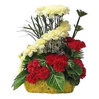 Send Rakhi with Red Yellow Carnation Basket of 24 Flowers to Hyderabad