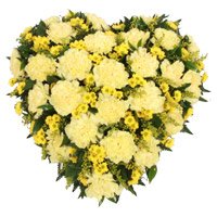 Send Online Delivery of Yellow Carnation Heart 24 Flowers in Hyderabad on Rakhi