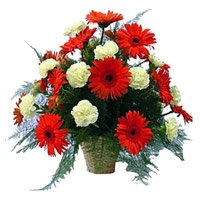 Online Delivery of Rakhi Flowers in Hyderabad. Red Gerbera White Carnation Basket 24 Flowers to Hyderabad