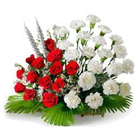 Send Online Red and White Carnation Basket 24 Flowers in Hyderabad