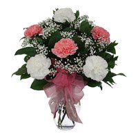 Pink White Carnation in Vase of 12 Flowers Same Day Delivery in Hyderabad