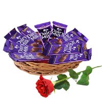 New Year Gifts in Hyderabad Online encircled with 12 Dairy Milk Chocolate Basket With 1 Red Rose Flowers Bud