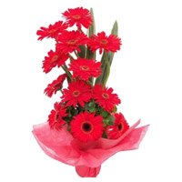 Send 12 Red Gerbera Basket with Rakhi and Flowers to Hyderabad