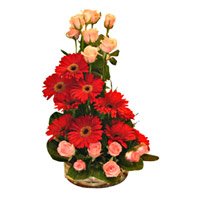 Deliver Rakhi and Flowers to Hyderabad comprising of Red Gerbera Pink Roses Basket 24 Flowers