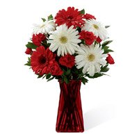 Place Online Order of Red White Gerbera Carnation in Vase 12 Flowers to Hyderabad on Rakhi