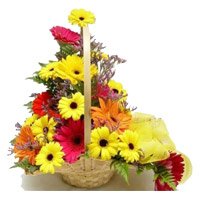 Send Diwali Flowers Online Mixed Gerbera Basket 12 Flowers in Hyderabad