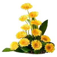 Send New Year Flowers to Hyderabad add up to Yellow Gerbera Basket 12 Flowers in Tirupati