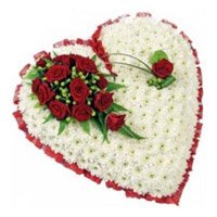 Send Rakhi with Flowers to Hyderabad. 100 White Gerbera and 10 Red Roses to Hyderabad in Heart shape