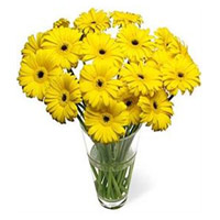 Deliver Yellow Gerbera in Vase 15 Flowers in Hyderabad Online on Rakhi