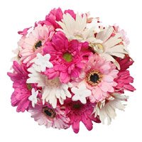 Send online White Pink Gerbera Bouquet 36 Flowers in Hyderabad on Friendship Day