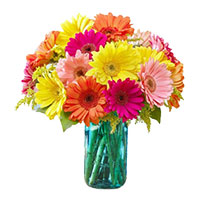 Send Mix Gerbera in Vase 15 Flowers to Hyderabad on Rakhi