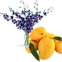 Send New Year Gifts to Secunderabad comprising Blue Orchid Vase 6 Flowers with Stem with 12 pcs Fresh Mango