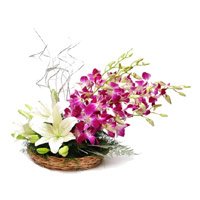 On this Christmas Send Flowers to Hyderabad. 2 White Lily 6 Purple Orchids Basket Flowers to Hyderabad