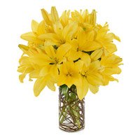 8 Yellow Lily Flower Stems in Vase. Deliver New Year Flowers in Secunderabad