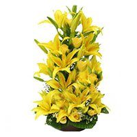 Flowers Basket to Hyderabad. Yellow Lily Basket 15 Flower Stems