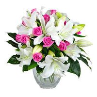 Online Lily Flowers to Hyderabad