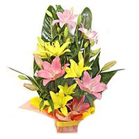 Friendship Day Flower Online Delivery to Hyderabad. Pink Yellow Lily Basket 6 Flower Stems