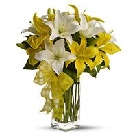 Place Online Order to Send New Year Flowers to Hyderabad send to White Yellow Lily in Vase 6 Stems Flowers to Hyderabad