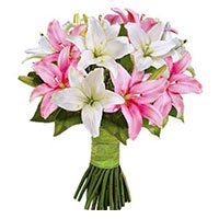 Valentines Day Flower Delivery in Ibrahim Bagh Lines Hyderabad : Pink White Lily 