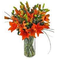Send Rakhi with Orange Lily Vase 8 Stems Flowers in Hyderabad