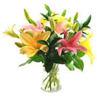 Send Diwali Flowers to Hyderabad consisting Mix Lily Vase 5 Flower Stems